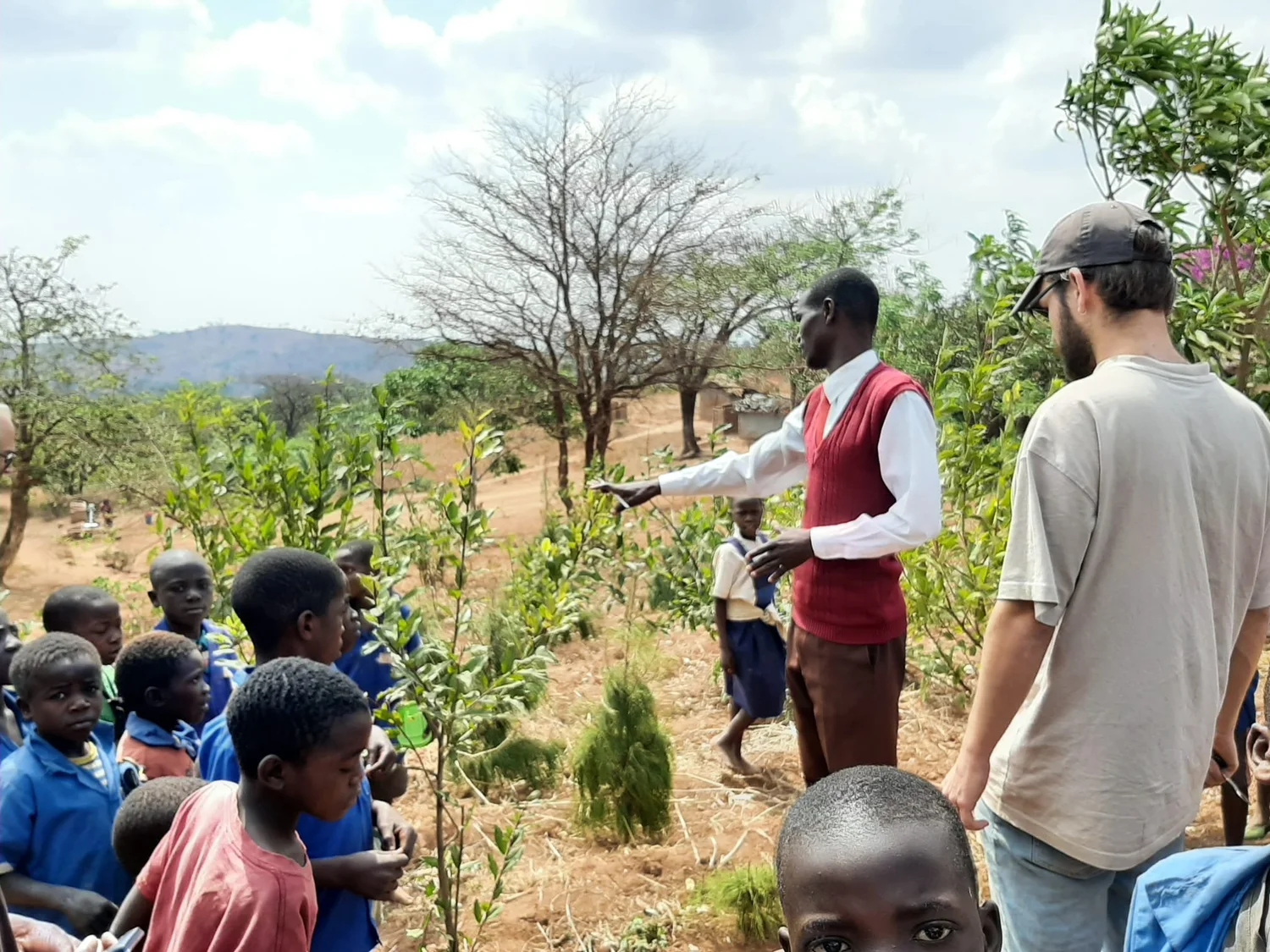 Afrikanische Kinder werden zur Bedeutung von Bäumen aufgeklärt